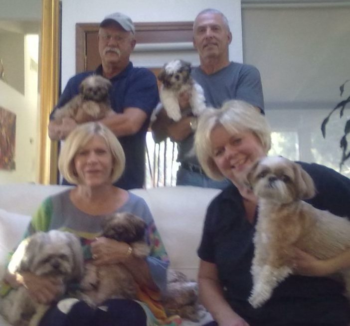 Two couples in a living room holding three Shih Tzus