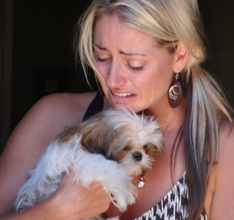 A woman in tears of joy holding a new Shih Tzu puppy