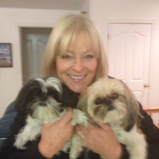 A woman holding two Shih Tzus