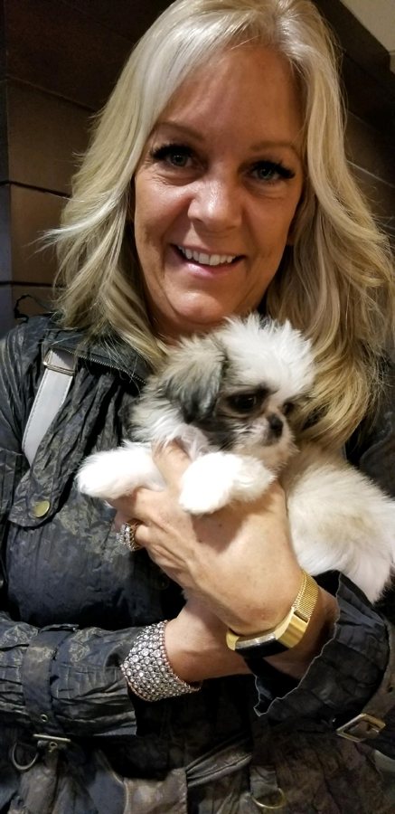 A woman holding a Shih Tzu puppy